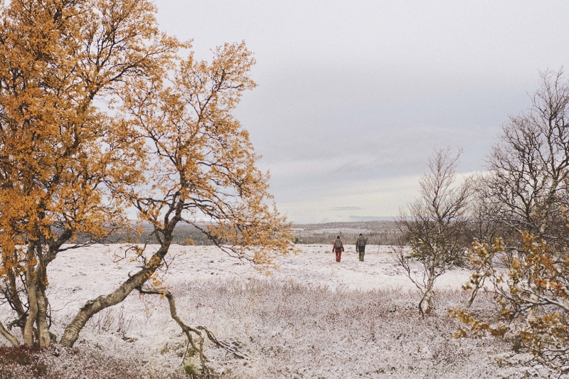 Singi 48, kolor: 018-Stone Grey