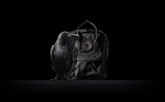 Fjallraven Kanken No. 2 Black Edition