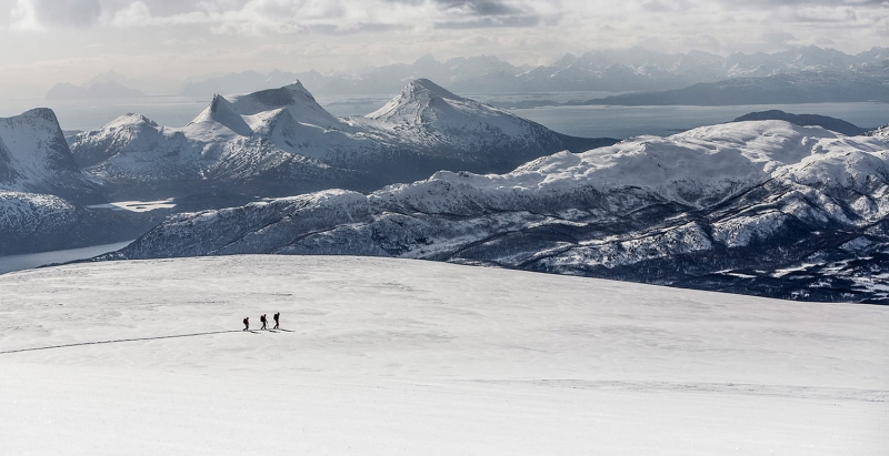 Bergtagen Insulation Lite Insulation Jacket