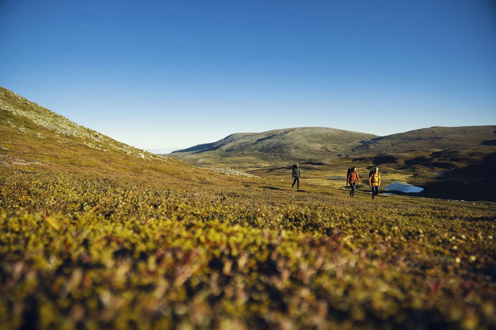 Abisko Lite Trekking Jacket