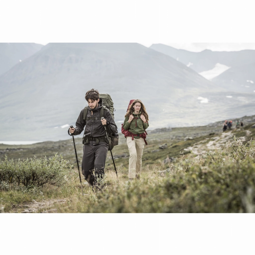 Abisko 75, kolor: 630 - Olive