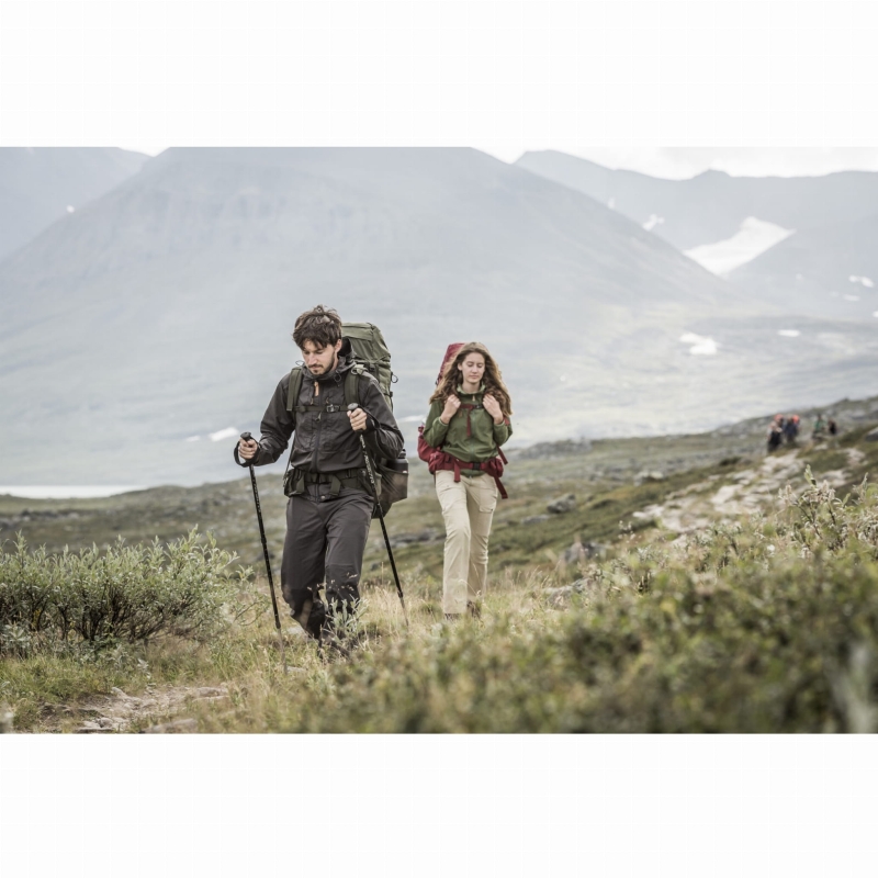 Abisko 75, kolor: 630 - Olive