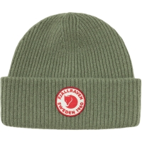 1960 Logo Hat, kolor: 677 - Caper Green