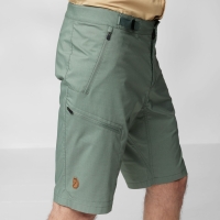 Abisko Hike Shorts