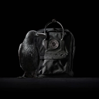Kanken No. 2 Mini Black Edition, kolor: 550 - Black