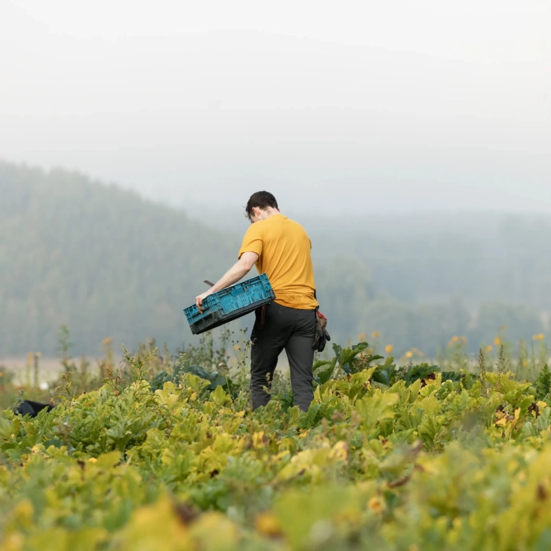 Hemp Blend Out Here T-shirt