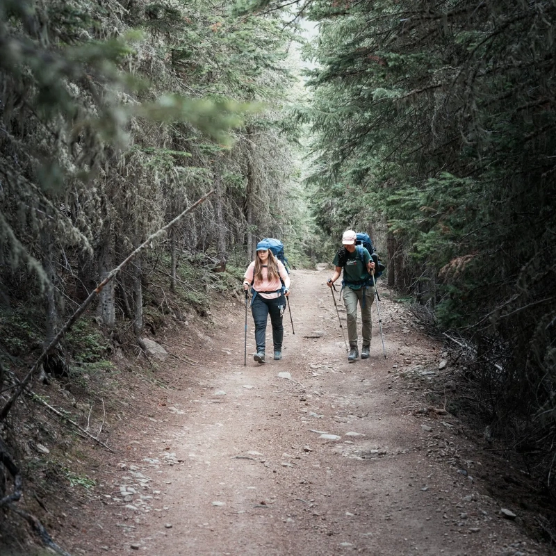 Abisko Hybrid Trail Trousers W