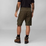 Abisko Shorts