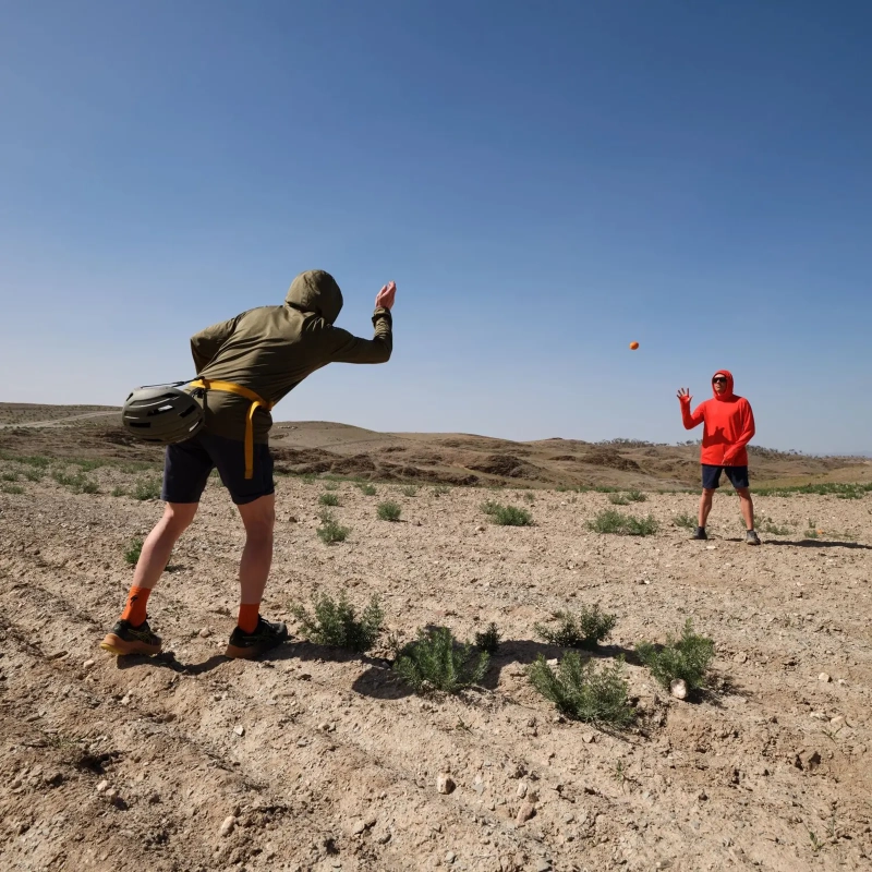 Hoja Hybrid Shorts