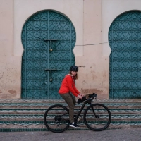 Hoja Top Tube Bag