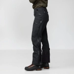Bergtagen GTX Pro Trousers W