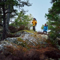 Abisko Grid Fleece Hoodie