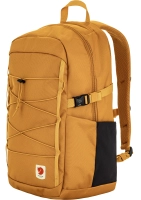 Skule 24, kolor: 171 - Red Gold