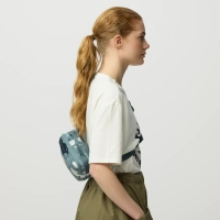Kanken Graphics Hip Pack