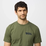 Swedish Forest T-shirt, kolor: 625 - Laurel Green - 5