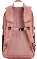 Skule 20, kolor: 300 - Dusty Rose, 3