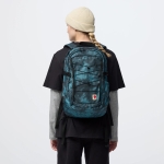 Skule Graphics 28 | 669-987 Teal/Shade