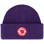 1960 Logo Hat, kolor: 425 - Dark Violet