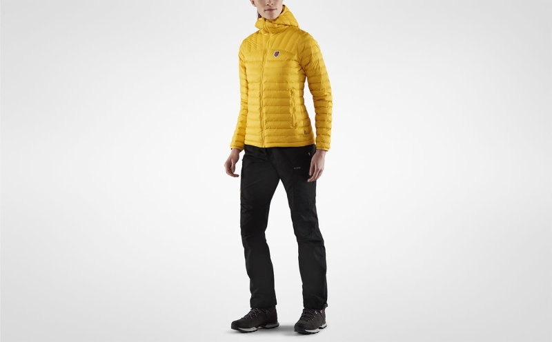 Expedition Latt Hoodie W